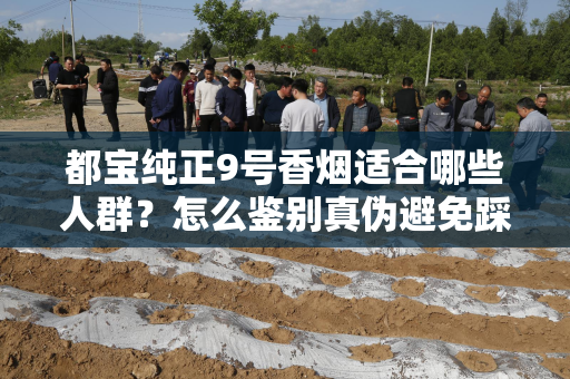 都宝纯正9号香烟适合哪些人群？怎么鉴别真伪避免踩坑？